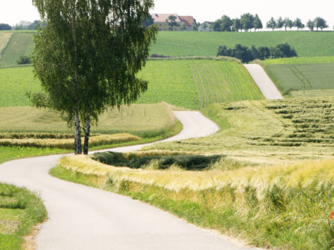 Online-Emmaus-Weg in unserer Pfarrei 12