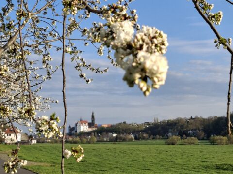 Monatsbrief Mai 2025 für Seniorinnen und Senioren 1