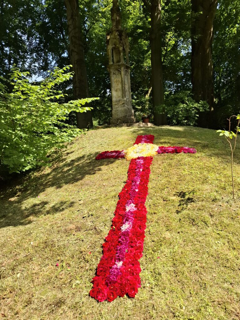Nossen - Klosterpark Altzella 22.06. 2025 - ein dankbarer Rückblick 4