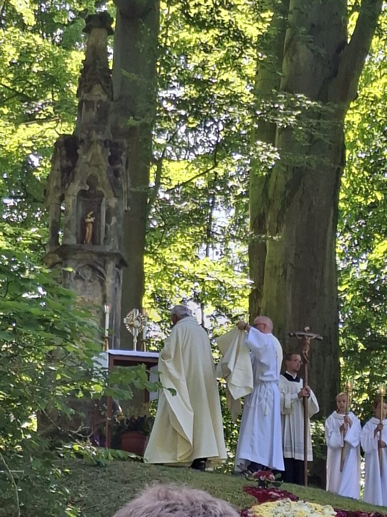 Nossen - Klosterpark Altzella 22.06. 2025 - ein dankbarer Rückblick 6