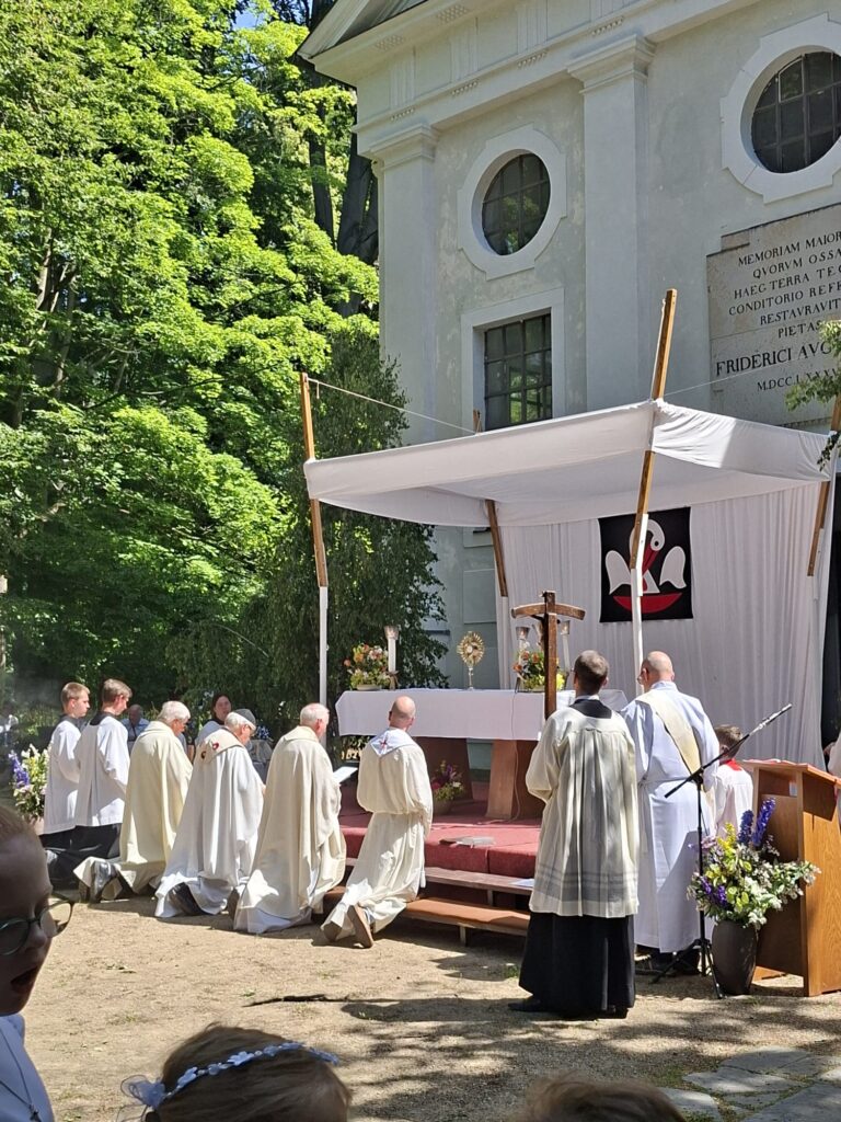 Nossen - Klosterpark Altzella 22.06. 2025 - ein dankbarer Rückblick 5