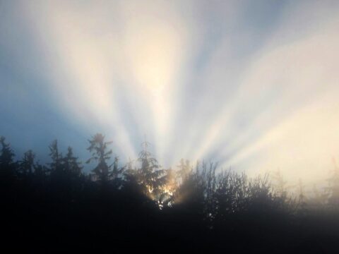 MONATSBRIEF JANUAR 2026 FÜR SENIORINNEN UND SENIOREN 2