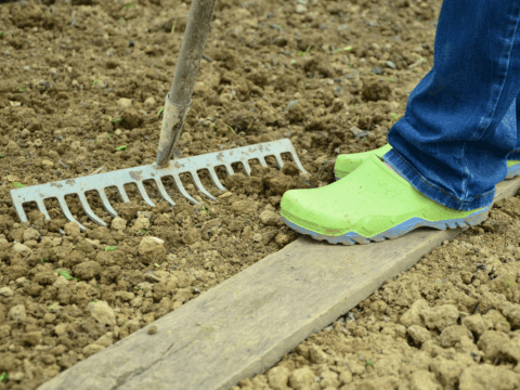 28. März 2026 - Haus- und Hofeinsatz in Christus König Radebeul 2 28. März 2026 - Haus- und Hofeinsatz in Christus König Radebeul 2