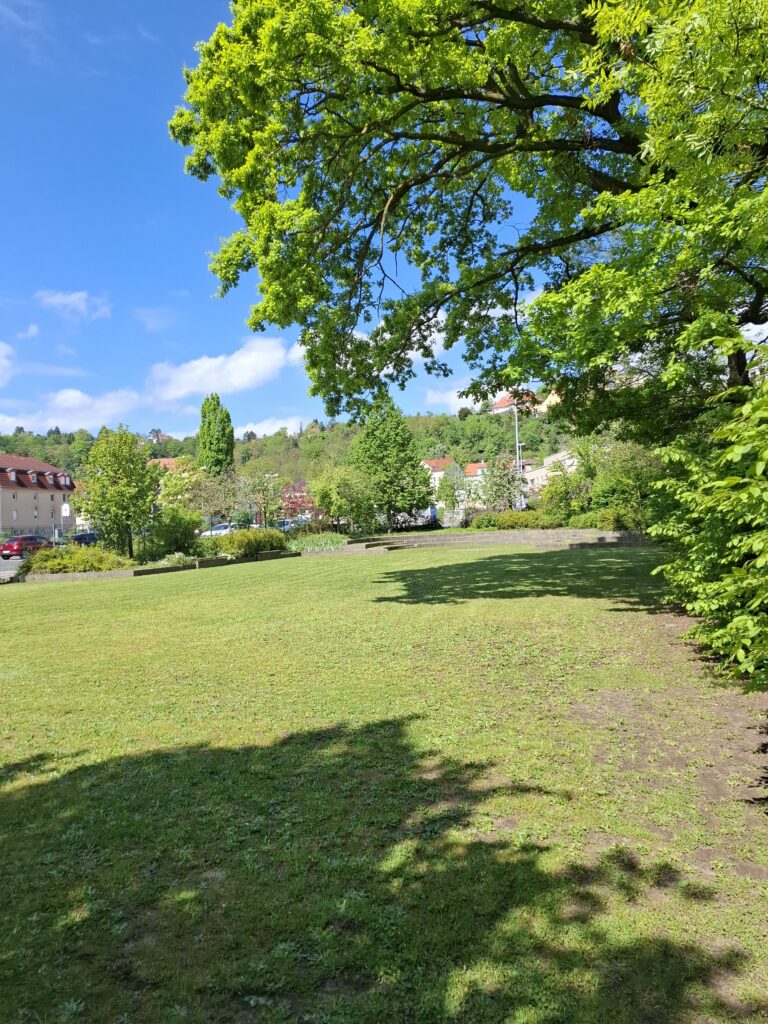 Arbeitseinsatz rund um die St. Benno Kirche Meißen - 09.05. 2026 Dankeschön!!! 3 Arbeitseinsatz rund um die St. Benno Kirche Meißen - 09.05. 2026 Dankeschön!!! 3