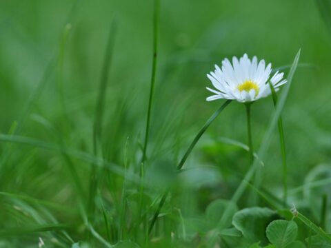 MONATSBRIEF Mai 2026 FÜR SENIORINNEN UND SENIOREN 3